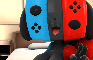 Switch Dog!