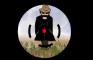 Collateral Damage 2D animation