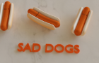 Sad Dogs