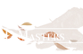 D&D Masters