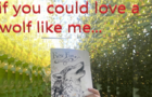 if you could love a wolf like me...