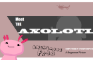 Meet the Axolotl | Anonymous Frog