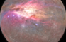 Mercury Orion