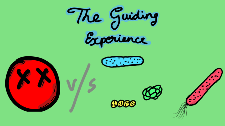 Guiding Experience