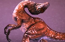 Raptor got busted dancing