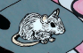 Interview with a Mouse