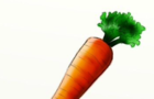 don’t mess with the carrot lord