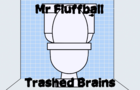 Mr Fluffball- Trashed Brains