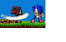 Sonic vs Shadow