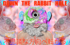 DOWN THE RABBIT HOLE