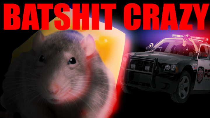 RAT STEALS CHEESE REDUX (CRAZY)