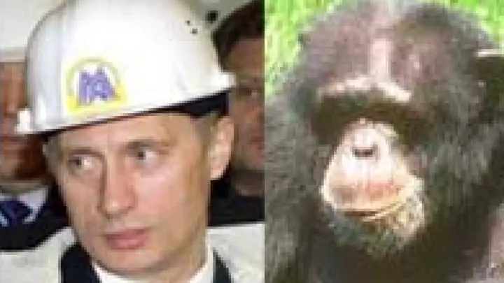 Who is mr.Putin?