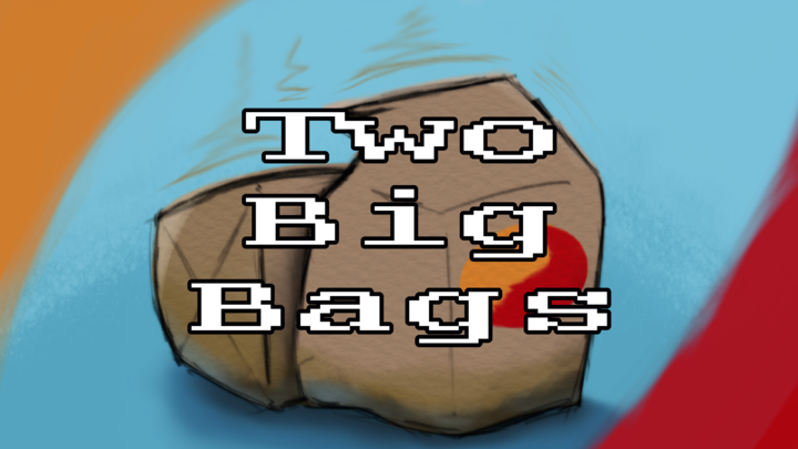 2 BIG BAGS
