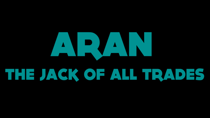 Aran WackyVerse fan introduction