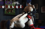 The Cat vs The Harlequin movie released!