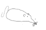 trouble rat