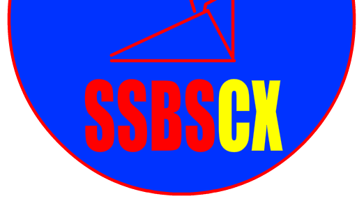 SUPER SMASH BROS STICK CX