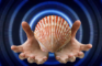 She Sells Seashells