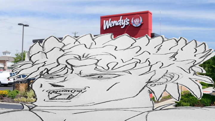 Dio goes to wendy's
