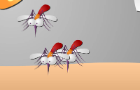 Kill Mosquito