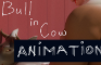 Bull In Cow