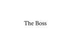 The Boss (StodulskiJV)