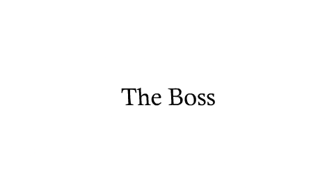The Boss (StodulskiJV)