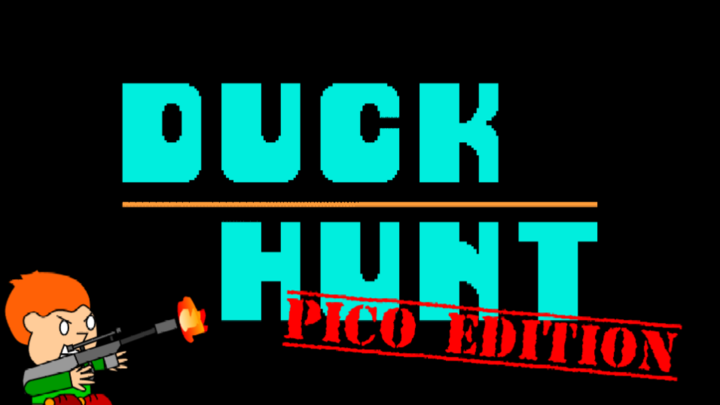 Duck Hunt : PICO EDITION