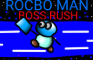 Rocbo Man Boss Rush