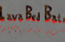 Lava Bed Bats