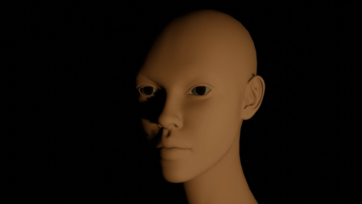 daggerfall intro facial animation training