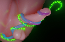 Which tentacle do you like?