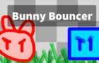 Bunny Bouncer