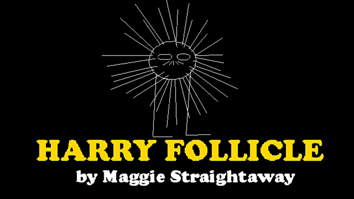 Harry Follicle
