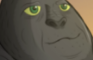 Return to Monkey