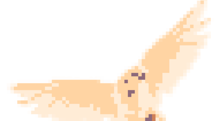 Bird Gaem