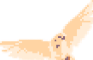 Bird Gaem