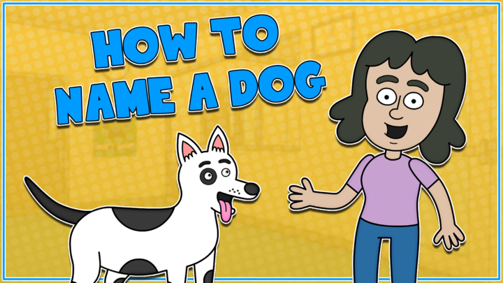How To Name a Dog