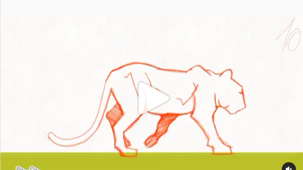 Lion walking animation