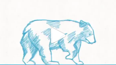 Bear walking animation