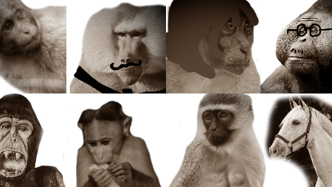 Monkey Dating Sim (FUN EDITION)