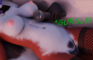 Veronika's Stomach Growl