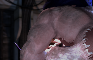 Climax Alt - Confined