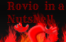 Rovio in the nutshell