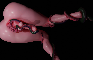 Tentacles everywhere