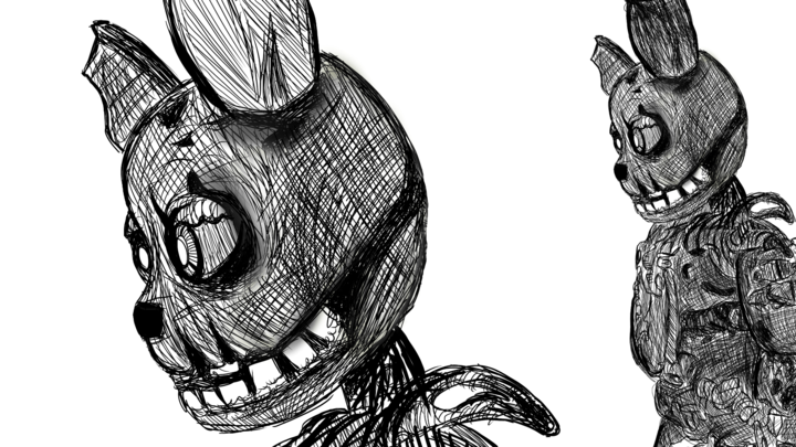 Afton Anatomy