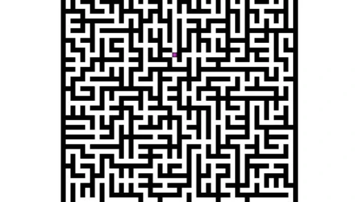 Maze version 1