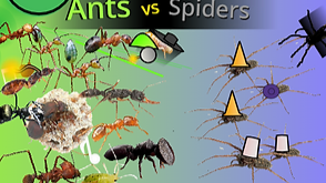 Ants VS Spiders