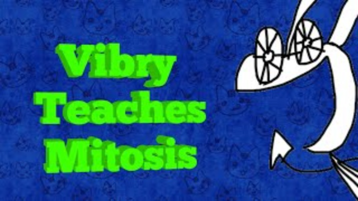 Vibry Teaches Mitosis