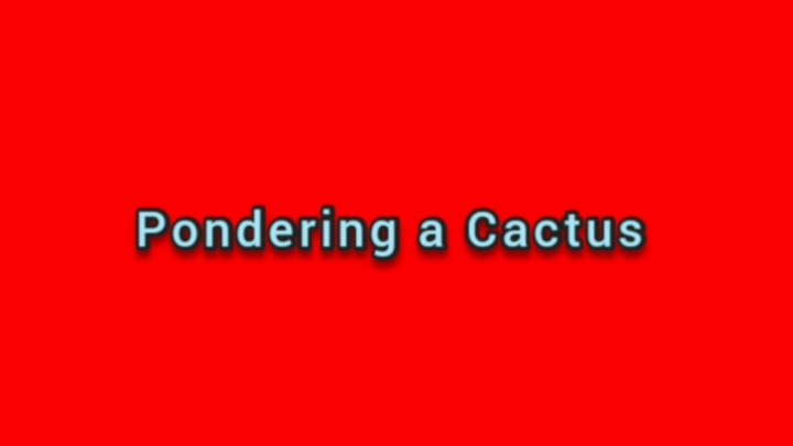 Pondering a Cactus